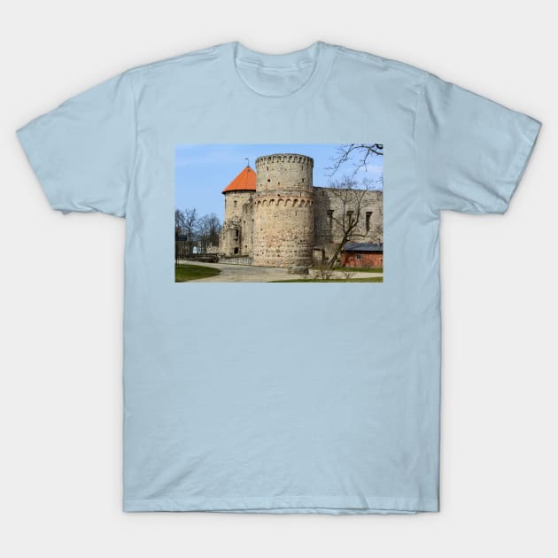 Ruins of medieval castle in Cesis, Latvia T-Shirt by lena-maximova